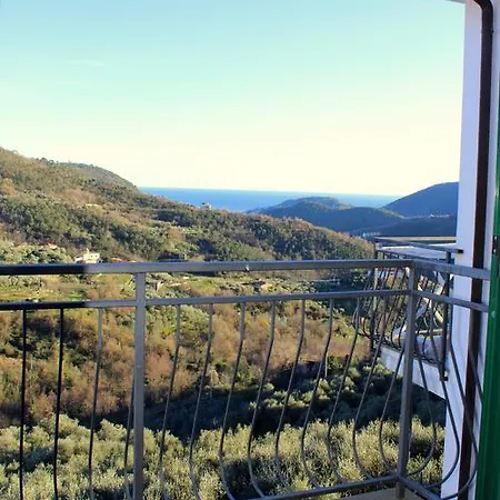 Tra Gli Ulivi