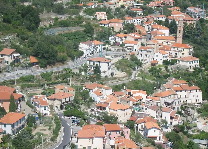 Tra Gli Ulivi * Bardino Nuovo